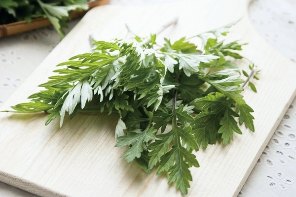 Giới thiệu về ngải cứu và lợi ích của nó