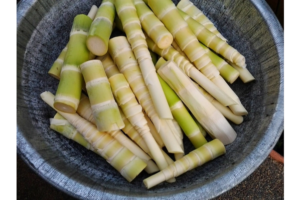 Bầu có được ăn măng được không?