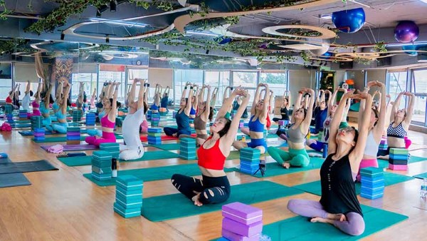 Chọn đúng lớp và giáo viên Hatha Yoga – Chìa khóa cho hành trình luyện tập an toàn và bền vững