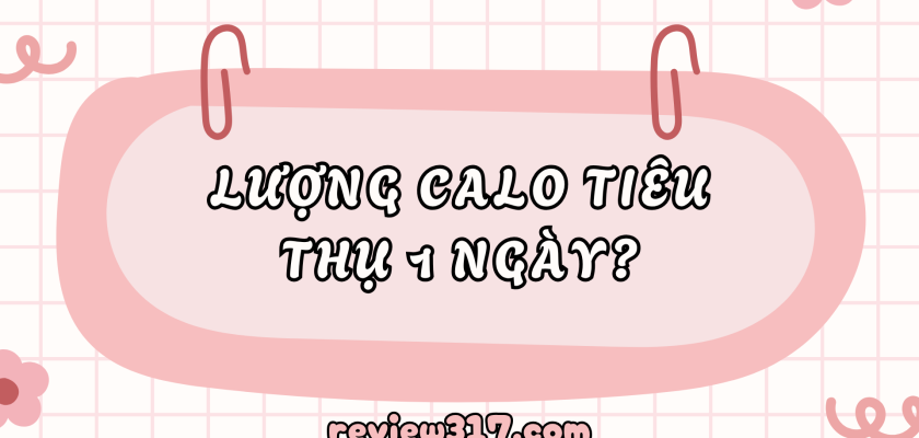 Lượng calo tiêu thụ 1 ngày – Cách kiểm soát cân nặng hiệu quả